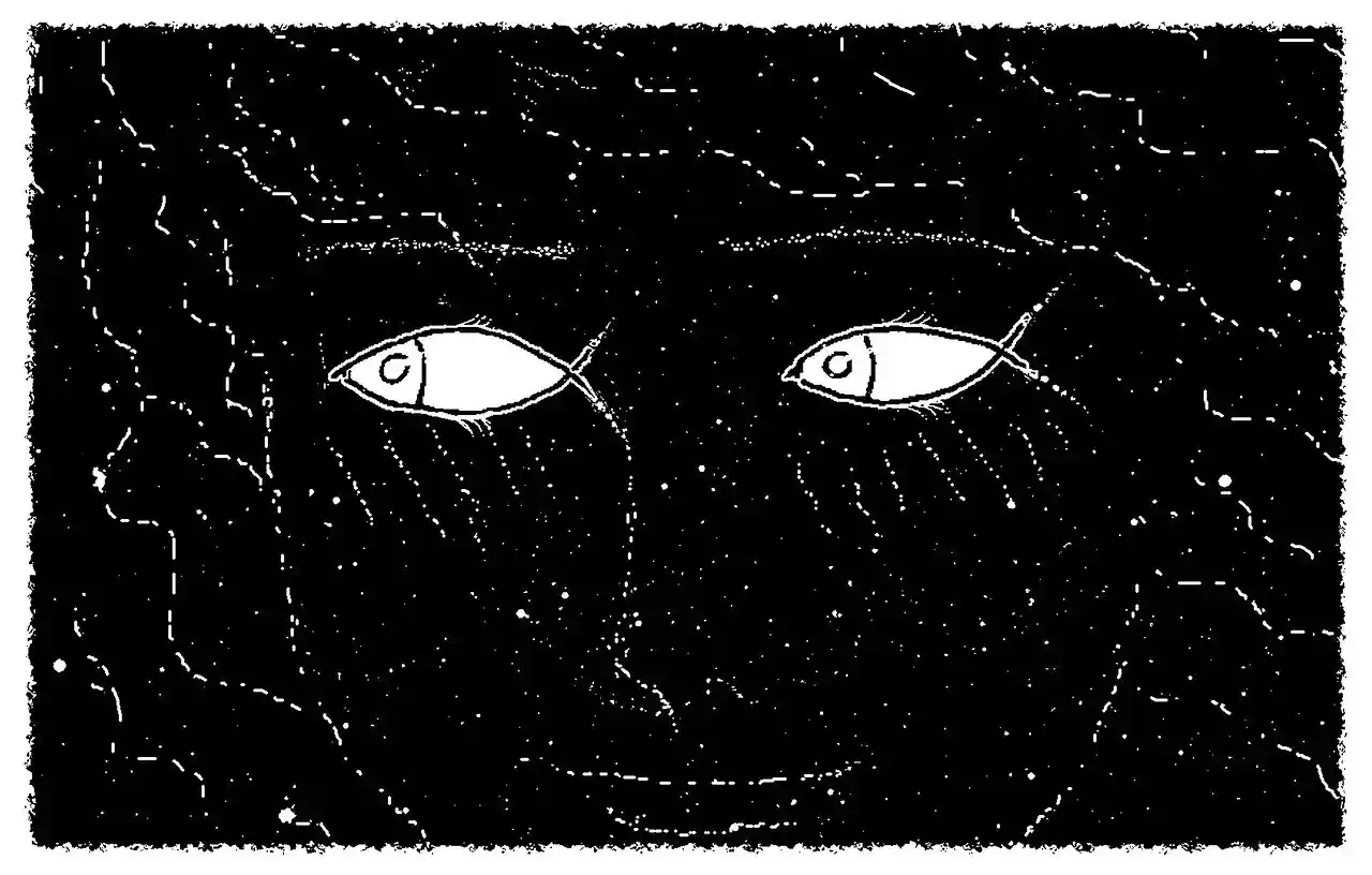 愚木混株 Cdd20's illustration